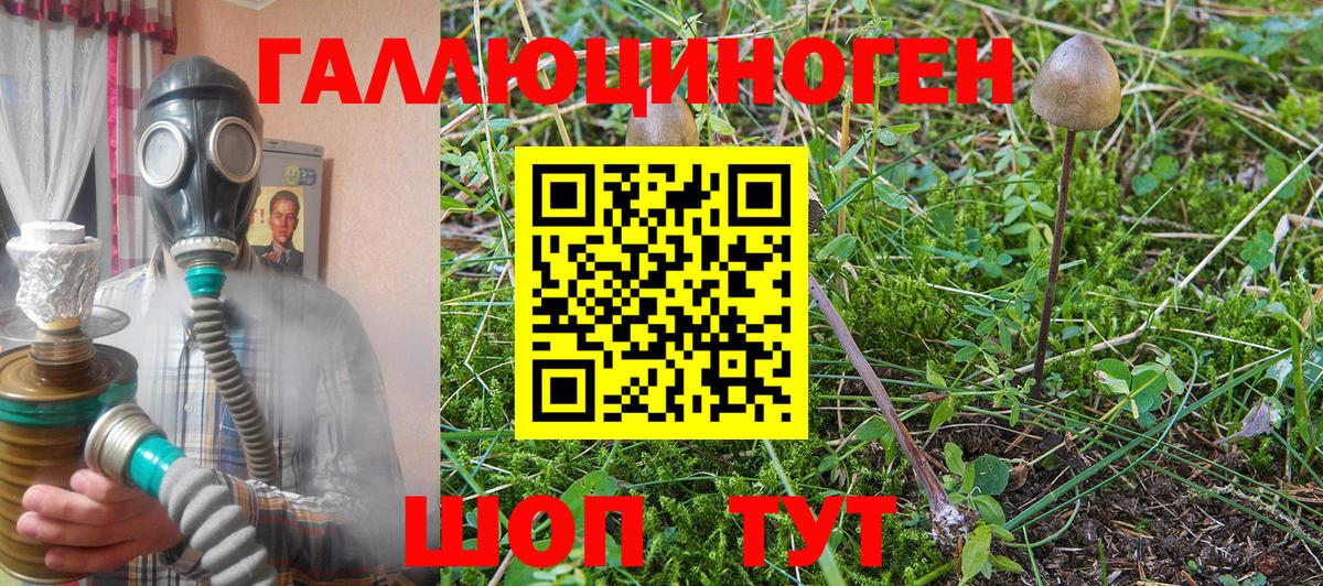 Иркутск  Псилоцибиновые грибы GOLDEN TEACHER  Вход с VPN 