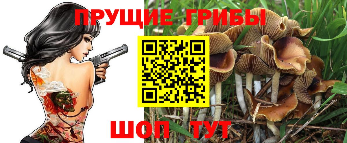 Псилоцибиновые грибы ЛСД  Иркутск 